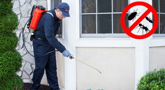 Siverek Kemirgen İlaçlama böcek ilaçlama ve haşere kontrolü — ilaclama-tr.com